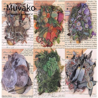 Muvako สติกเกอร์ PET ลายดอกไม้ ผลไม้ หลากสี สําหรับติดตกแต่งสมุดภาพ DIY 240 ชิ้น