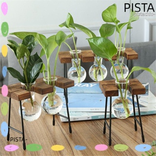 Pista แจกันปลูกต้นไม้ไฮโดรโปนิกส์ วินเทจ ปลูกต้นไม้ สวนขวด โต๊ะไม้