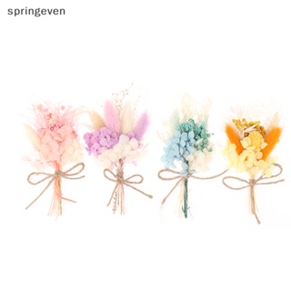 [springeven] กล่องดอกไม้แห้ง ขนาดเล็ก สําหรับตกแต่งบ้าน งานแต่งงาน วันเกิด 1 ชิ้น