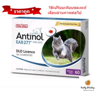 Antinol แมว อาหารเสริมเพื่อสุขภาพที่สมบูรณ์แข็งแรง ลดอักเสบ บำรุงข้อ EXP 4/2024