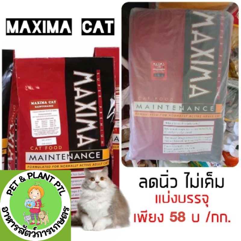 [ 1 kg] Maxima Cat Food แม็กซิม่า อาหารแมว แบ่งบรรจุ 1 กก.