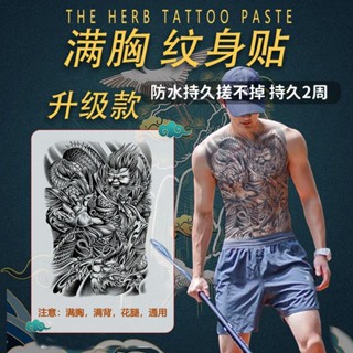 Sa Tattoos HAN &amp; YI Six-Eared Kiwi สติกเกอร์รอยสัก สมุนไพร น้ําผลไม้ สังคม ชาย ครอบงํา ระดับไฮเอนด์ กันน้ํา ขาไม่สะท้อนแสง Ta