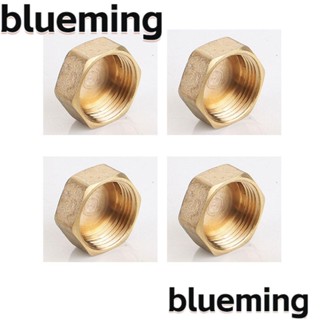 Blueming2 จุกปิดท่อน้ํา ทองแดง แบบพกพา 4 ชิ้น