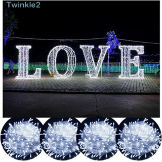 Twinkle สายไฟหิ่งห้อย Led ชาร์จ USB สําหรับตกแต่งปาร์ตี้คริสต์มาส