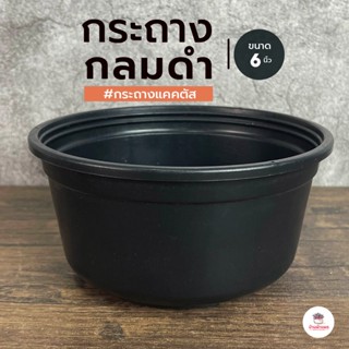 กระถางกลมดำ 6 นิ้ว #P&U #C-6 กระถางพลาสติก แคคตัส กระบองเพชร…