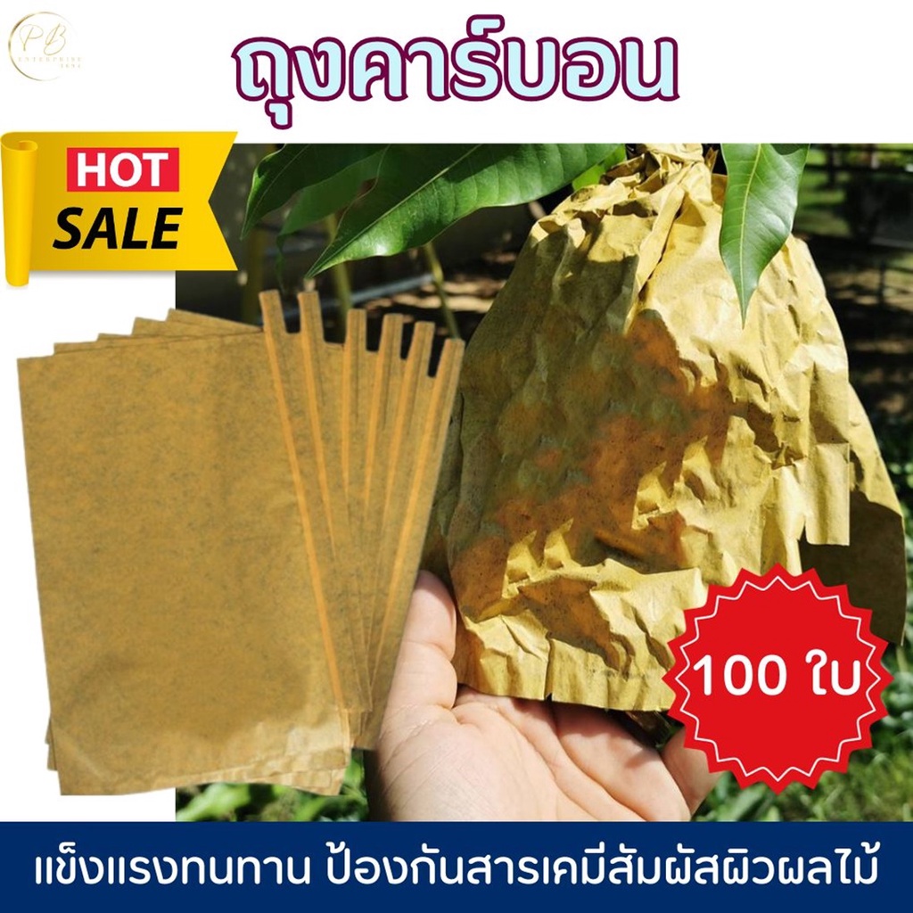 ถุงห่อผลไม้กันแมลง ถุงกระดาษคาร์บอนห่อมะม่วง พร้อมส่ง Fruit Wrapping Bags สำหรับห่อชมพู่ 20x30 ซม. แพ็คละ 100 ใบ