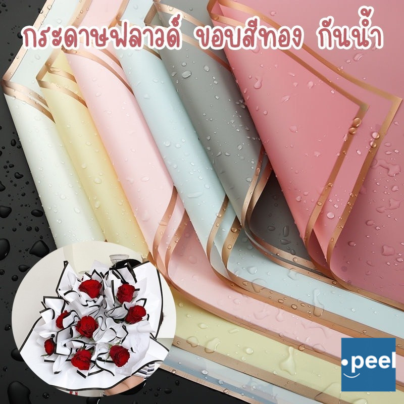 รูปภาพ 2