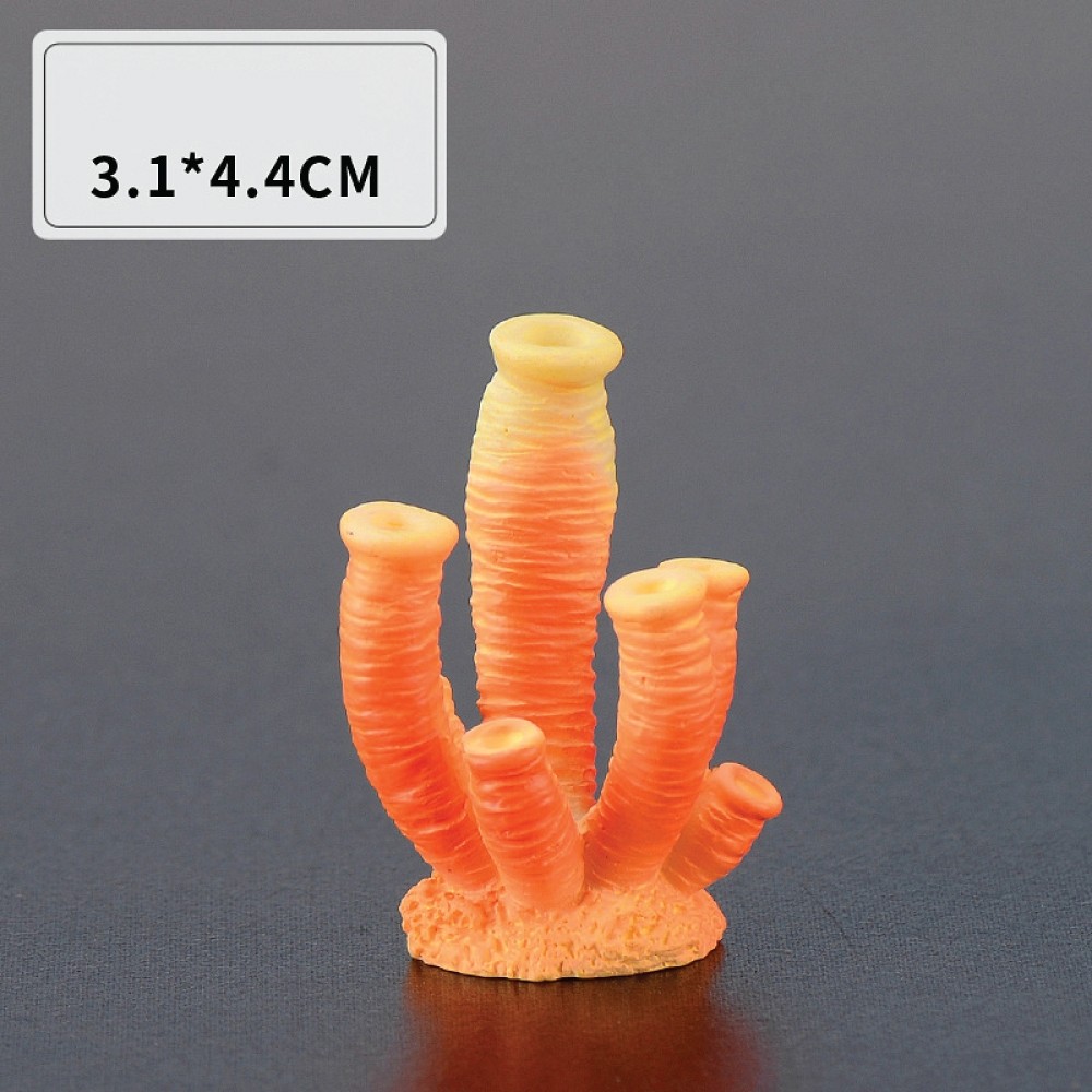 รูปภาพ 6