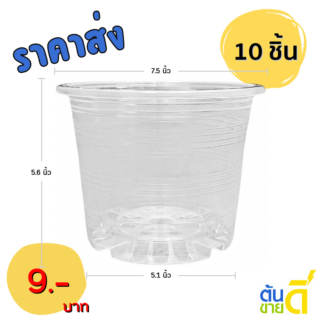 กระถาง กระถางต้นไม้ กระถางพลาสติก เบอร์ 8 7.5 นิ้ว สีใส 10 ใบ ชิ้น อัน