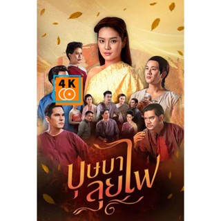 หนัง DVD ออก ใหม่ Bussaba Lui Fai (2023) บุษบาลุยไฟ (ตอนที่ 1-25 จบ + ตอนพิเศษ) (เสียง ไทย | ซับ ไทย) DVD ดีวีดี หนังใหม