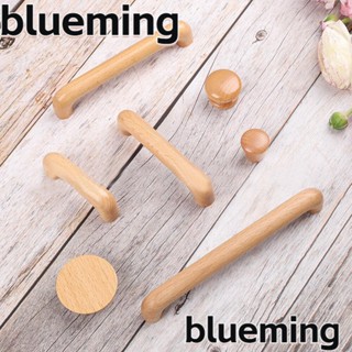 Blueming2 ที่จับดึงประตู ลิ้นชัก ตู้ เฟอร์นิเจอร์ ตู้ ลูกบิด ประตูขัดเงา ทนทาน