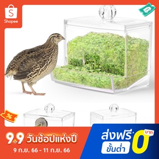 เครื่องให้อาหารไก่ ขนาดใหญ่ จุของได้เยอะ น้ําหนักเบา สีโปร่งใส สําหรับฟาร์มนก