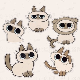 เข็มกลัดอะคริลิค ลายการ์ตูนแมวน่ารัก สําหรับตกแต่งเสื้อผ้า