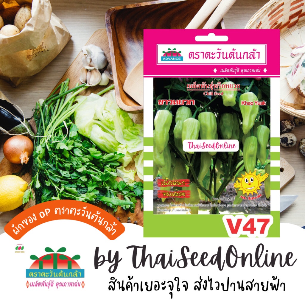 ADVOP ซฟ เมล็ดพันธุ์ พริกหยวก ขาวหยวก ตราตะวันต้นกล้า V73