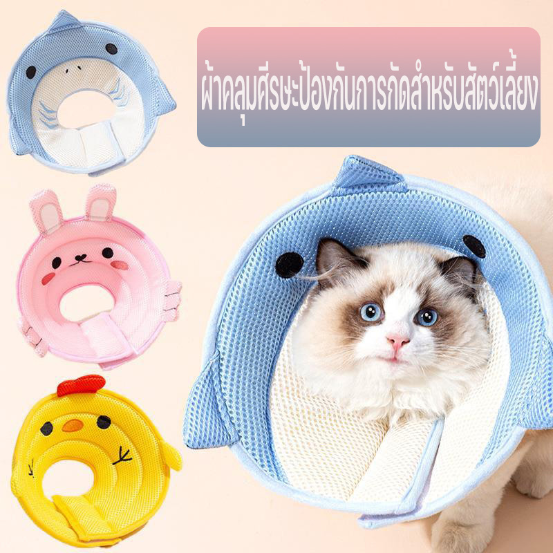 COD ปลอกคอกันเลีย S/M/L คอลล่าแมว คอลล่าสุนัข ปลอกคอป้องกันแผล คอลล่ากันเลีย คอลล่าสัตว์เลี้ยง