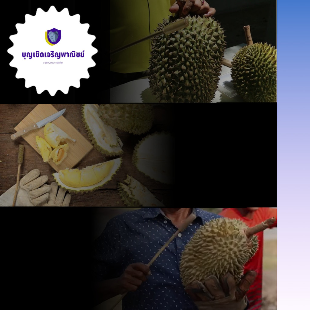 ไม้หวายเคาะเปลือกทุเรียน รุ่น Knocker001 (จำนวน 1 อัน) ไม้เคาะทุเรียน ปลายหุ้มยาง ราคาถูกพร้อมจัดส่ง - รูปที่ 3