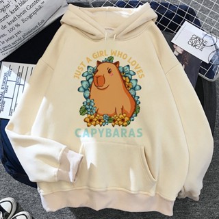 Capybara เสื้อฮู้ดดี้ แบบสวมหัว 90s สไตล์ญี่ปุ่น โกธิค สําหรับผู้หญิง