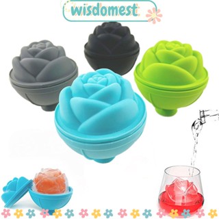 Wisdomest ถาดน้ําแข็งซิลิโคน บาร์ลดสิว คอนทัวร์ตา ลูกกลิ้งน้ําแข็ง