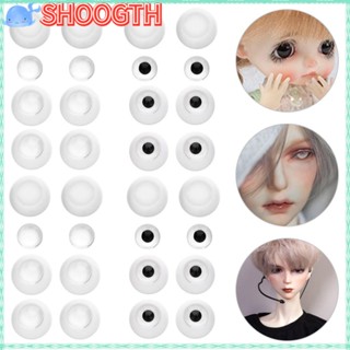 Shoogth ตาตุ๊กตาอะคริลิค ทรงกลม คุณภาพสูง DIY 1 ชุด