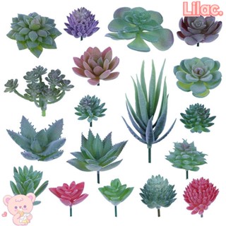 Lilac พืชอวบน้ําปลอม DIY สําหรับตกแต่งบ้าน สวน