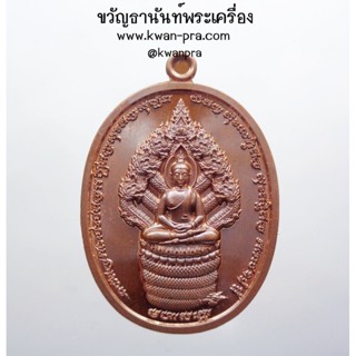 พระอาจารย์วีรพล วัดตลิ่งชัน จังหวัดสระบุรี เหรียญนาคปรก รุ่นแรก (KP3564)