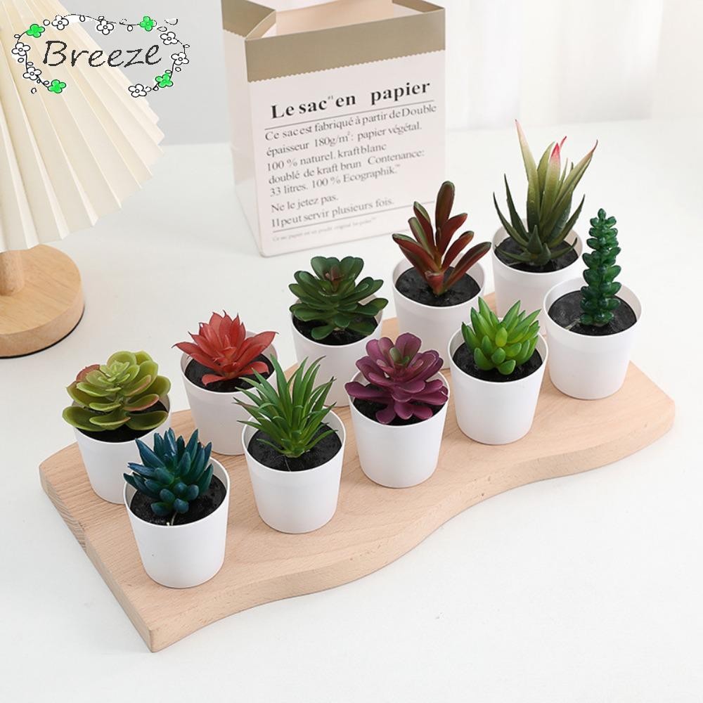 Breeze บอนไซฉ่ําประดิษฐ์, ต้นไม้ปลอมตกแต่งโต๊ะพืชบอนไซฉ่ํา,โต๊ะกระบองเพชรพลาสติกฉ่ํามินิบอนไซสํานักงาน