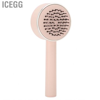 Icegg (20.2 X 8cm)Air Cushion Brush For Women Detangling  Hairbrush Hair