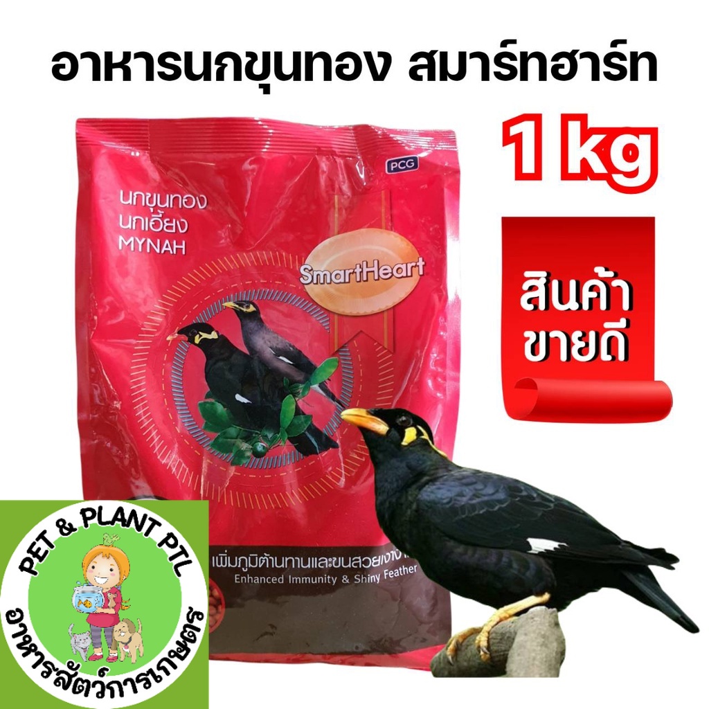 [1kg] อาหารนกขุนทอง นกเอี้ยง 1 กิโลกรัม