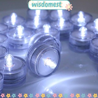 Wisdomest โคมไฟ LED รูปแจกันดอกไม้ ไร้เปลวไฟ กันน้ํา ใช้แบตเตอรี่ สําหรับตกแต่งตู้ปลา งานแต่งงาน ปาร์ตี้คริสต์มาส