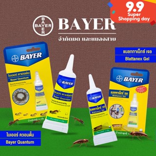 Bayer Quantum ไบเออร์ ควอนตั้ม ขนาด 12 กรัม เจลกำจัดมด เจลกำจัดแมลงสาบ เจลกำจัดแมลง เหยื่อกำจัดมดและแมลงสาบ กาวน์ดักแมลง