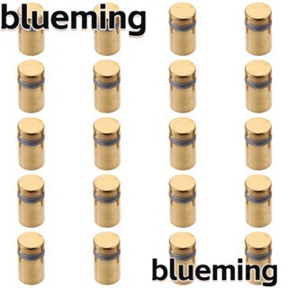 Blueming2 สกรูสเตนเลส สีทอง 1/2 นิ้ว X 0.78 นิ้ว สําหรับแขวนกรอบรูปอะคริลิค 20 ชิ้น