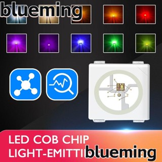 Blueming2 ไดโอดเปล่งแสง WS2812B 5050SMD RGBWW RGBCW RFBNW 100 ชิ้น