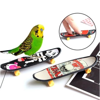 E-3 Skateboard สเก็ตบอร์ด ของเล่นนก [ลายคละ]