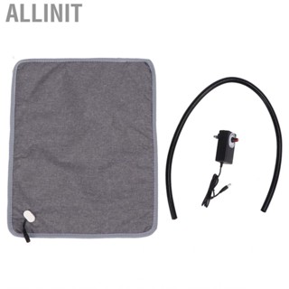 Allinit Pet Electric  Temperature  Heating Mat HOT