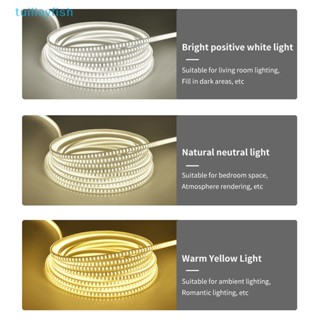 【tuilieyfish】สายไฟ Led 220V กันน้ํา ความสว่างสูง ยืดหยุ่น พร้อมปลั๊กสวิตช์ สําหรับในร่ม และกลางแจ้ง【IH】