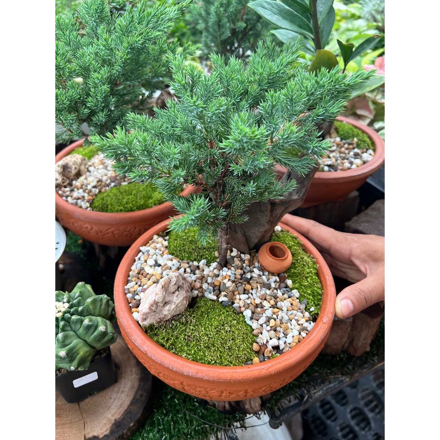 มุมมอง 3