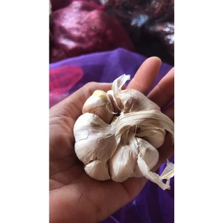 🧄 กระเทียมจีน 🧄 คัดเกรด AAAA สดใหม่ ขนาดครึ่งกิโล คุณภาพดี กระเทียมปิงปอง กระเทียมจีนหัว ขาว เนื้อแน่น
