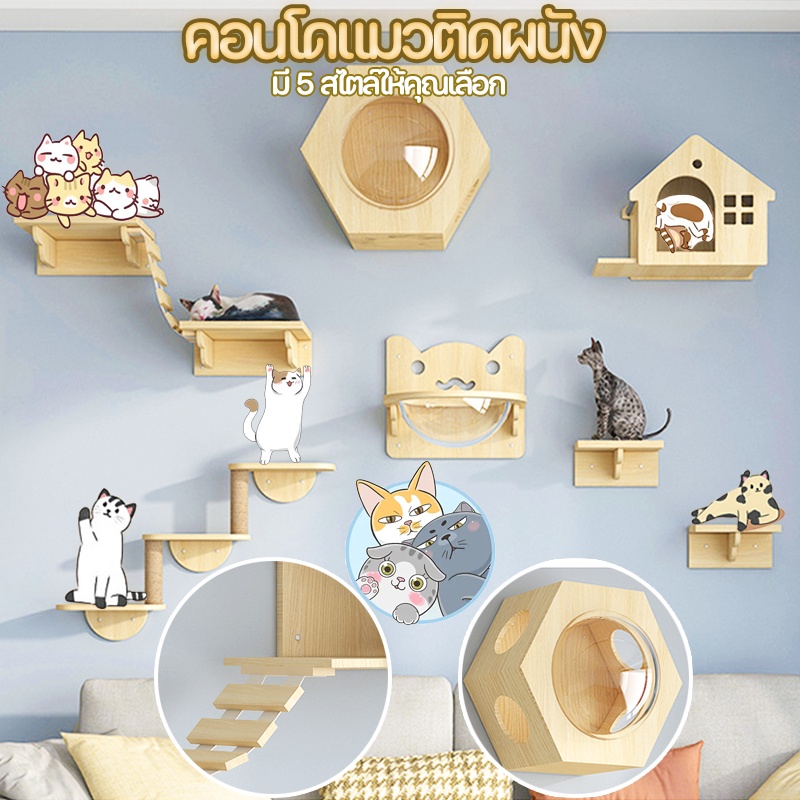 COD คอนโดแมวติดผนัง กล่องแมวติดผนัง อะไหล่คอนโดแมว มินิมอล แข็งแรงทนทาน ส่วนผสมที่ลงตัว