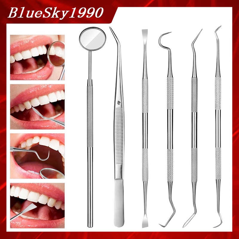 【Bluesky1990】 ชุดขูดหินปูน 6ชิ้น ขูดหินปูน ทำความสะอาดช่องปาก มาตรฐานทางทันตกรรม 6Pcs/Set Dentist Tool Dental Treatment Kit