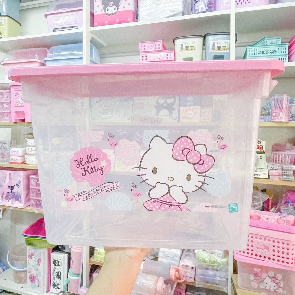 กล่องคอนเทนเนอร์ กล่องเก็บของ Kitty #6662 //CPAT6620