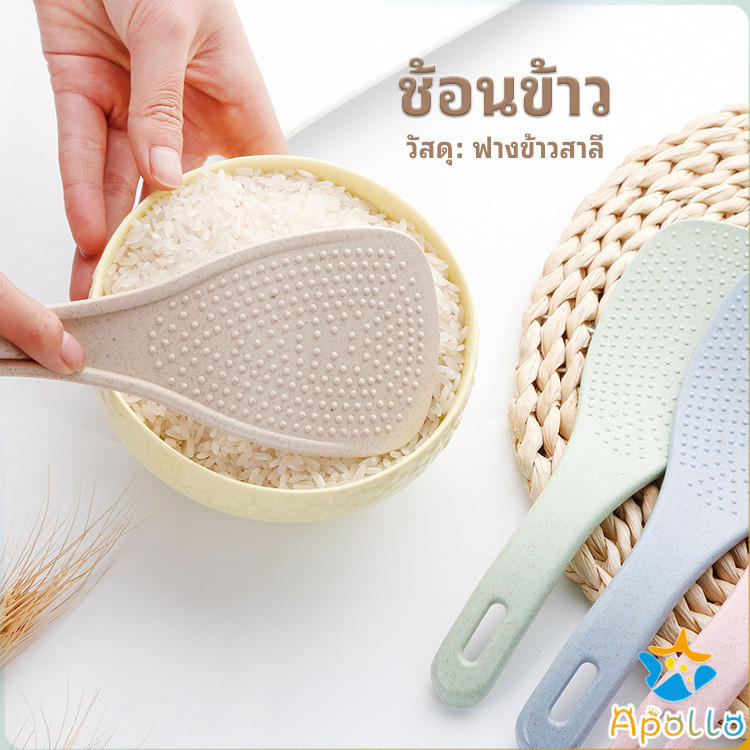 Apollo ทัพพีตักข้าว ข้าวไม่ติดทัพพี ทำจากฟางข้าวสาลี wheat straw spoon