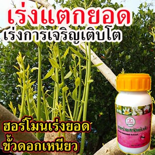 ฮอร์โมนเร่งยอด สาหร่ายสกัดเข้มข้น 290 cc กระตุ้นการแตกตา ไร้สารเคมี เร่งยอด ยาเร่งการแตกตา น้ำยาเร่งการแตกตา ปุ๋ยเร่งยอด