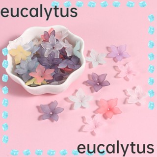 Eucalytus1 ลูกปัดอะคริลิคใส รูปดอกลิลลี่ 5 กลีบ 5 กลีบ สําหรับทําเครื่องประดับ DIY