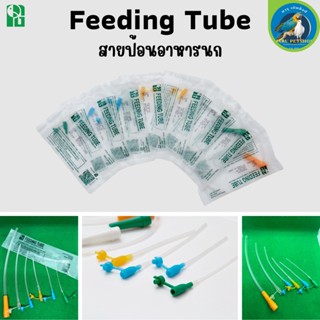 Feeding Tube สายป้อนอาหาร เหมาะสำหรับลูกนก