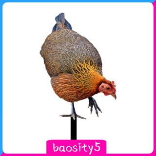 [Baosity5] กระจกรูปปั้นไก่เสมือนจริง กันสภาพอากาศ สําหรับตกแต่งสวน สนามหญ้า ฟาร์ม ลาน ลานบ้าน