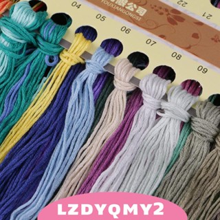 [Lzdyqmy2] ชุดสตาร์ทเตอร์ รูปปลาโลมา สําหรับผู้เริ่มต้น