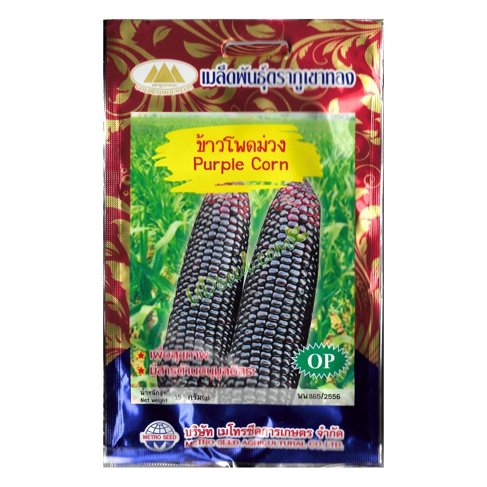 เมล็ดข้าวโพดม่วง Purple Corn MT/OP-068 ตราภูเขาทอง เมล็ดพันธุ์ข้าวโพดม่วง เมล็ดข้าวโพด