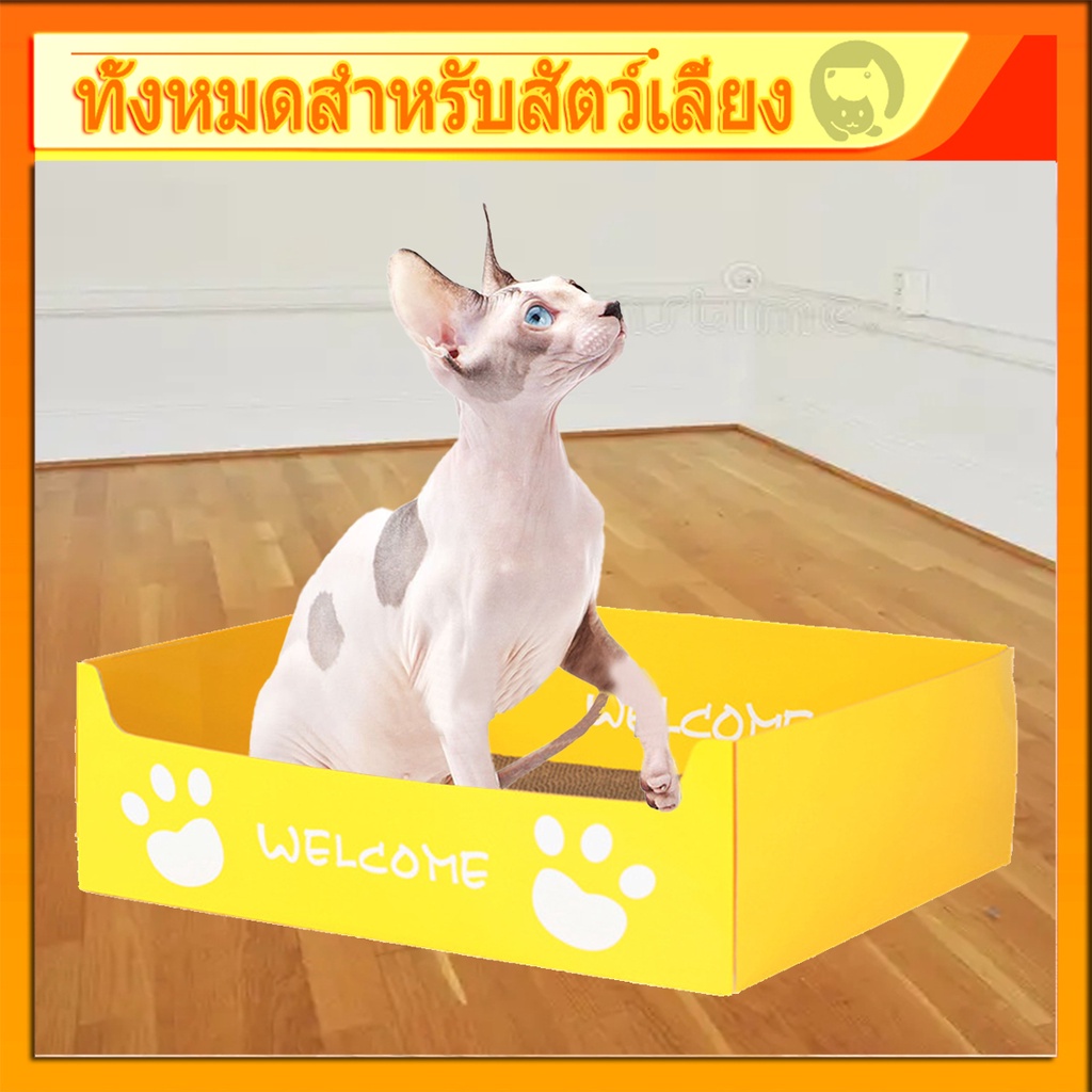 กล่อง ที่ลับเล็บแมว โซฟาลับเล็บแมว ที่ฝนเล็บแมว ของเล่นแมว แถมฟรี! แคทนิปกัญชาแมวในเซท แผ่นฝนเล็บแมว แผ่นลับเล็บแมว