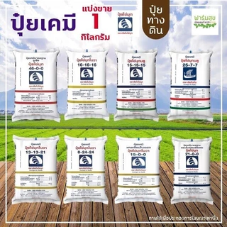 ปุ๋ยเกร็ด 0-52-34 ปุ๋ยไข่มุก ช่วยเปิดตาดอก ยับยั้งการแตกใบอ่อน กดยอด สะสมอาหาร ช่วยในการติดผล (แบ่งขาย)