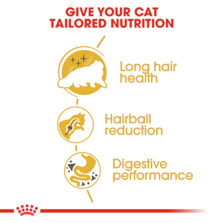 Royal Canin Adult Persian อาหารเม็ด สำหรับแมวโต พันธุ์เปอร์เซีย ขนาด 4 Kg